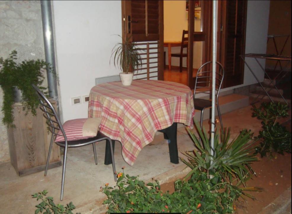 Sunny Apartment Zadar Eksteriør billede